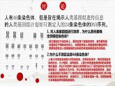 2.2 基因在染色体上 课件【新教材】2020-2021学年高一生物人教版（2019）必修二