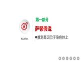 2.2 基因在染色体上 课件【新教材】2020-2021学年高一生物人教版（2019）必修二