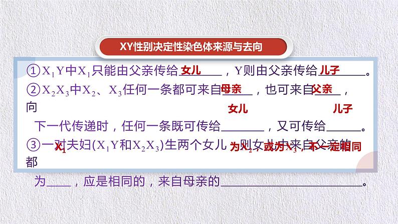 2.3 伴性遗传 课件【新教材】2020-2021学年高一生物人教版（2019）必修二08