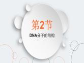 3.2 DNA的结构 课件【新教材】2020-2021学年高一生物人教版（2019）必修二
