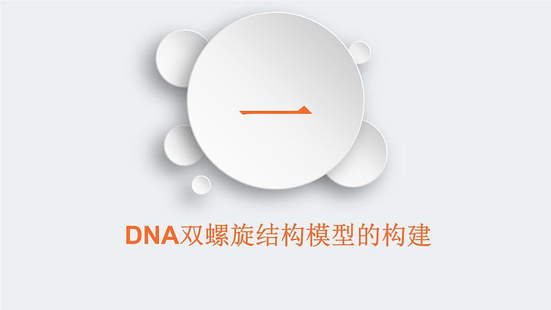 3.2 DNA的结构 课件【新教材】2020-2021学年高一生物人教版（2019）必修二第2页