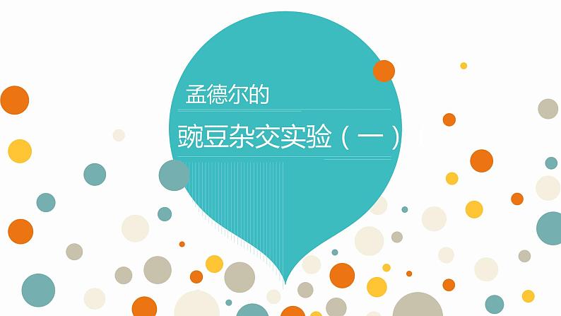 1.1 孟德尔的豌豆杂交实验（一）课件【新教材】2020-2021学年高一生物人教版（2019）必修二第2页