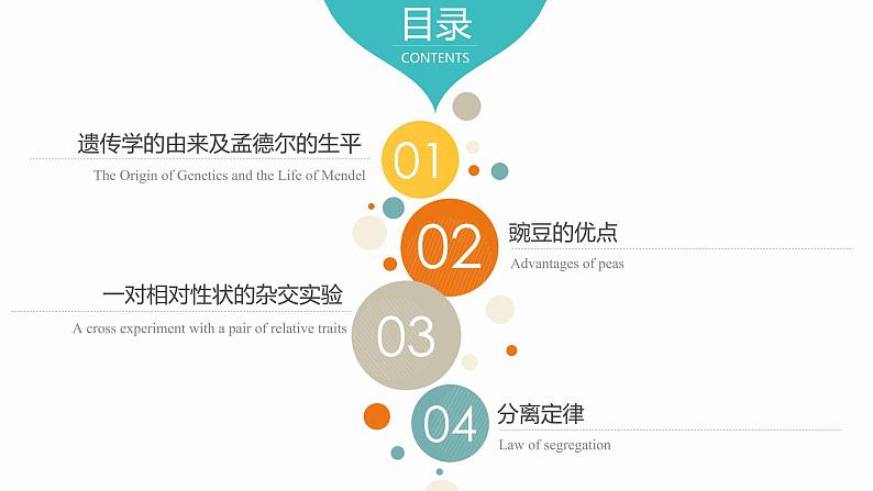 1.1 孟德尔的豌豆杂交实验（一）课件【新教材】2020-2021学年高一生物人教版（2019）必修二第3页