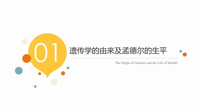 1.1 孟德尔的豌豆杂交实验（一）课件【新教材】2020-2021学年高一生物人教版（2019）必修二第4页