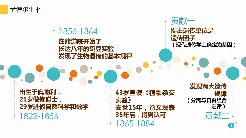 1.1 孟德尔的豌豆杂交实验（一）课件【新教材】2020-2021学年高一生物人教版（2019）必修二第6页