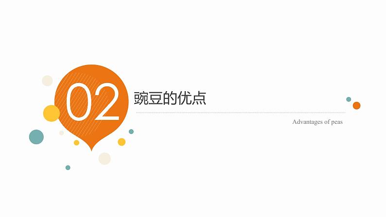 1.1 孟德尔的豌豆杂交实验（一）课件【新教材】2020-2021学年高一生物人教版（2019）必修二第7页