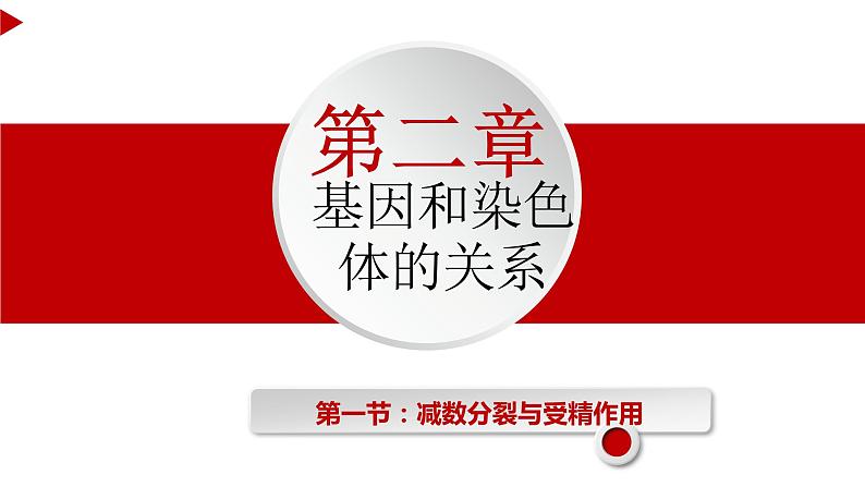 2.1 减数分裂和受精作用 课件【新教材】2020-2021学年高一生物人教版（2019）必修二01