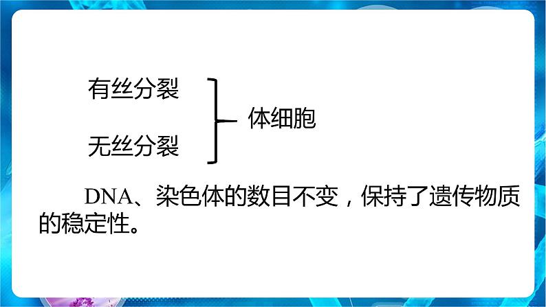 2.1 减数分裂和受精作用 课件【新教材】2020-2021学年高一生物人教版（2019）必修二04