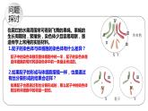 2.1 减数分裂和受精作用 课件【新教材】2020-2021学年高一生物人教版（2019）必修二