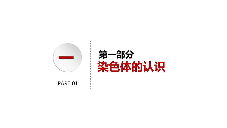 2.1 减数分裂和受精作用 课件【新教材】2020-2021学年高一生物人教版（2019）必修二06