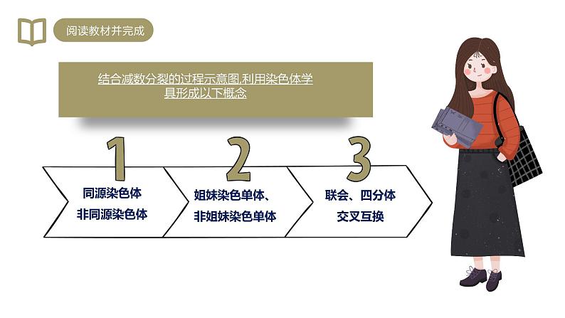 2.1 减数分裂和受精作用 课件【新教材】2020-2021学年高一生物人教版（2019）必修二07