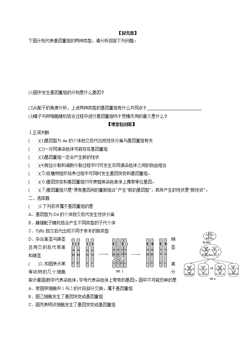 5.1 基因突变与基因重组02 导学案【新教材】2020-2021学年高一生物人教版（2019）必修二第2页