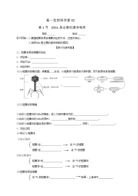 生物必修2《遗传与进化》第1节 DNA是主要的遗传物质学案