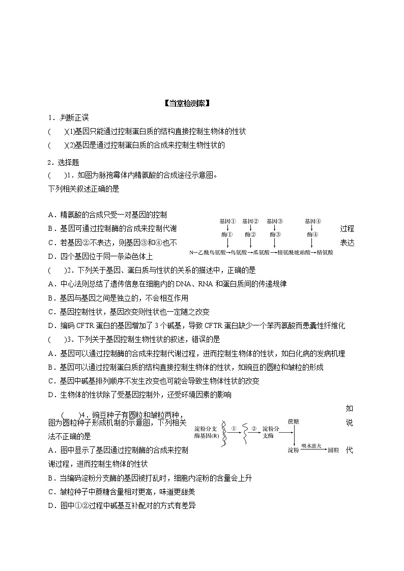 4.2 基因表达与性状的关系01 导学案【新教材】2020-2021学年高一生物人教版（2019）必修二第2页