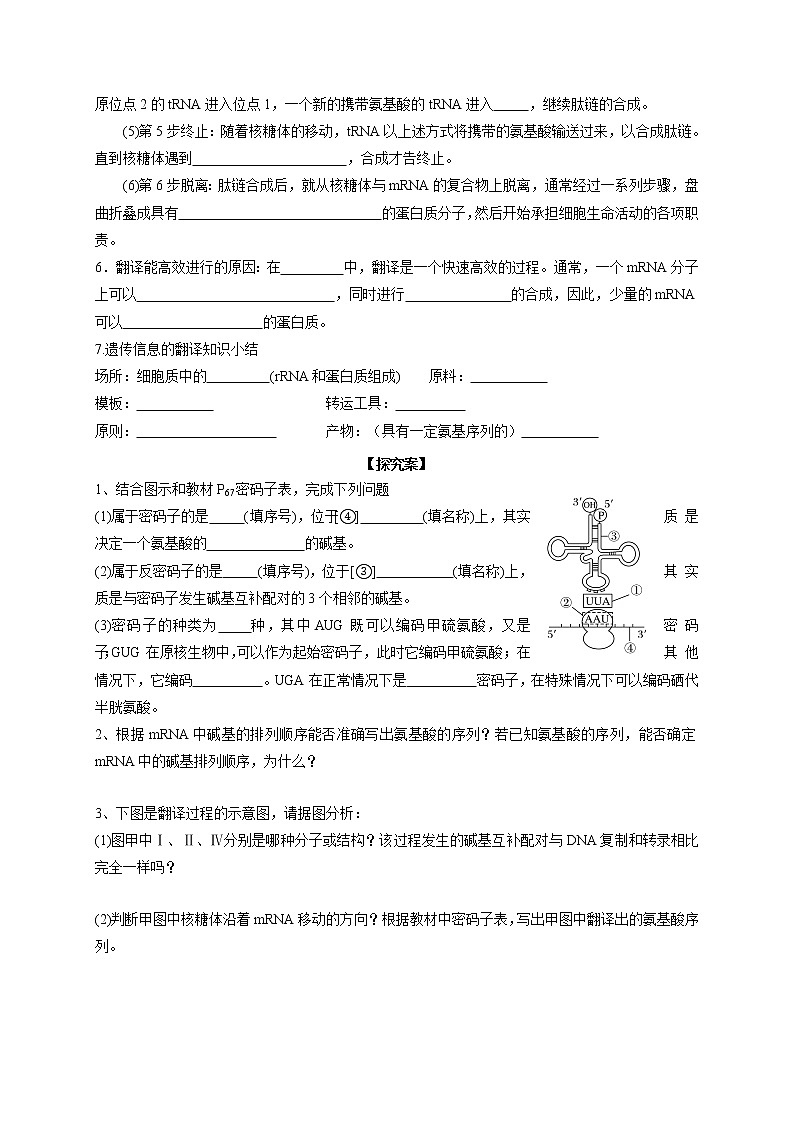 4.1基因指导蛋白质的合成2 导学案【新教材】2020-2021学年高一生物人教版（2019）必修二第2页
