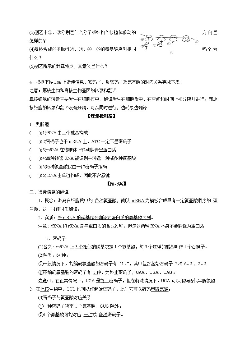 4.1基因指导蛋白质的合成2 导学案【新教材】2020-2021学年高一生物人教版（2019）必修二第3页