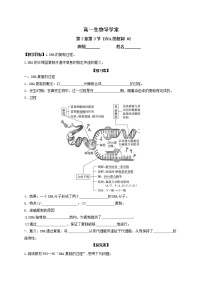 生物必修2《遗传与进化》第3章 基因的本质第3节 DNA的复制导学案