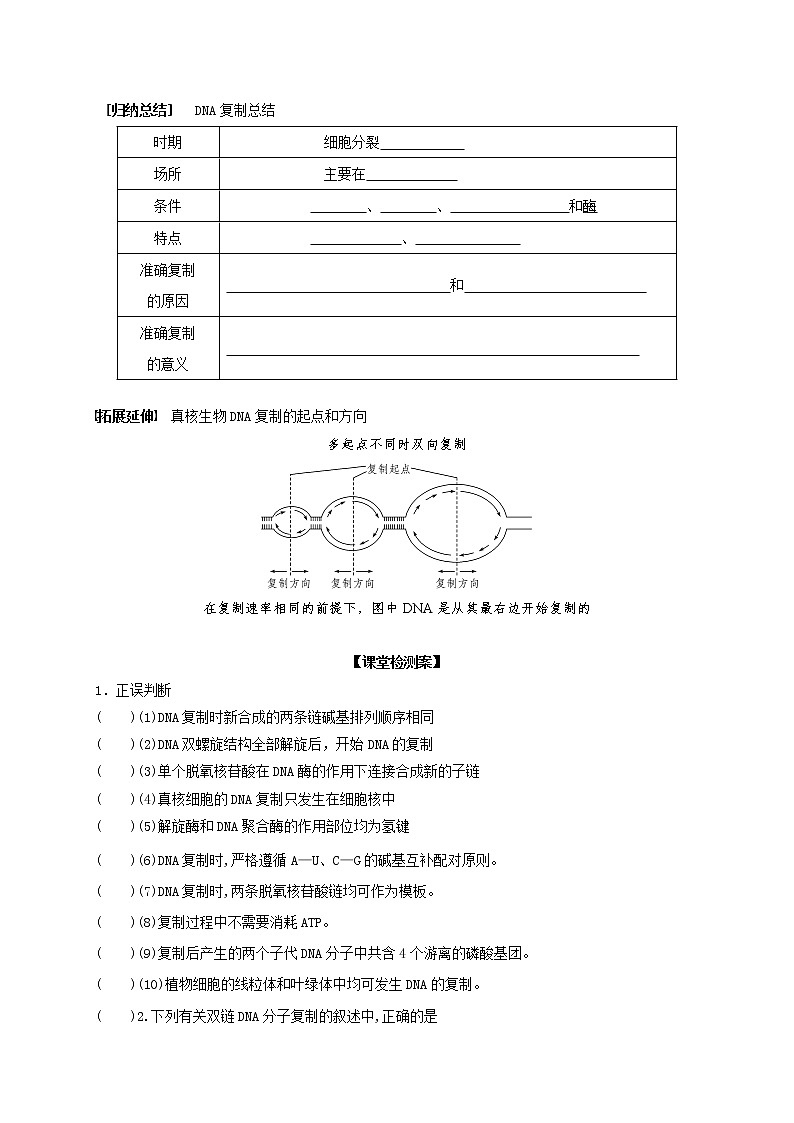 3.3 DNA的复制2 导学案【新教材】2020-2021学年高一生物人教版（2019）必修二03