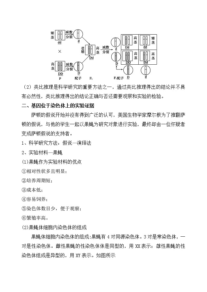 2.2 基因在染色体上 教案-人教版（2019）高中生物必修2遗传与进化第3页