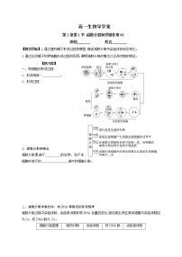 高中生物人教版 (2019)必修2《遗传与进化》一 减数分裂学案设计