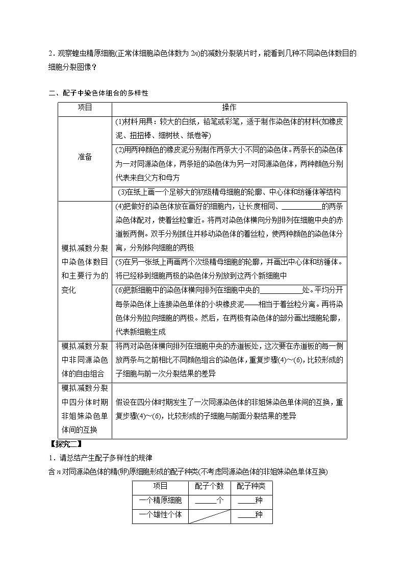 2.1 减数分裂与受精作用03 导学案【新教材】2020-2021学年高一生物人教版（2019）必修二第2页