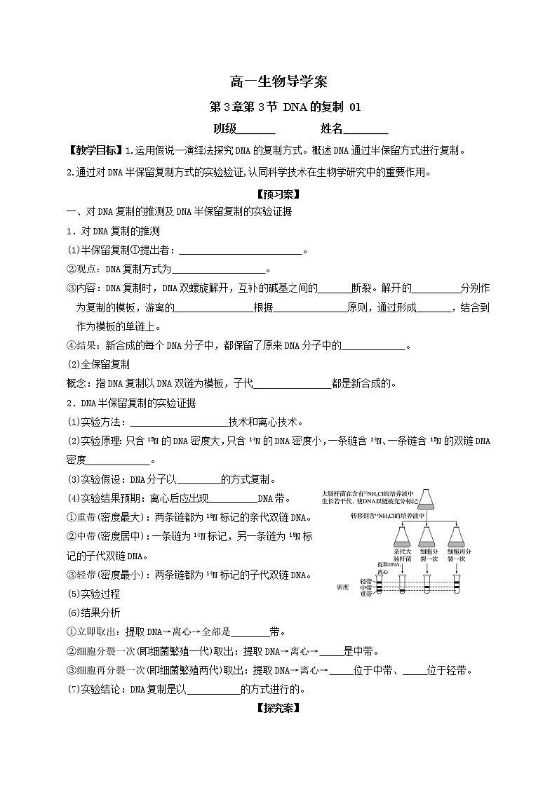 3.3 DNA的复制1 导学案【新教材】2020-2021学年高一生物人教版（2019）必修二01