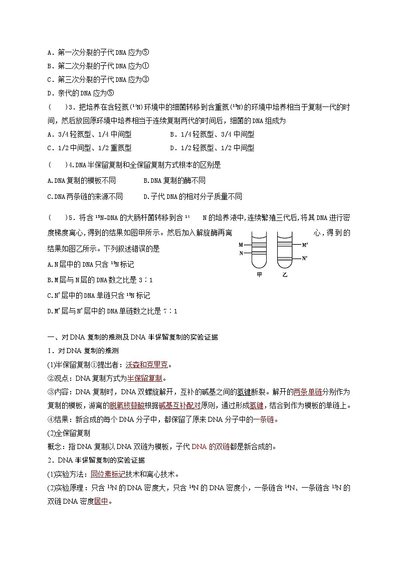 3.3 DNA的复制1 导学案【新教材】2020-2021学年高一生物人教版（2019）必修二03