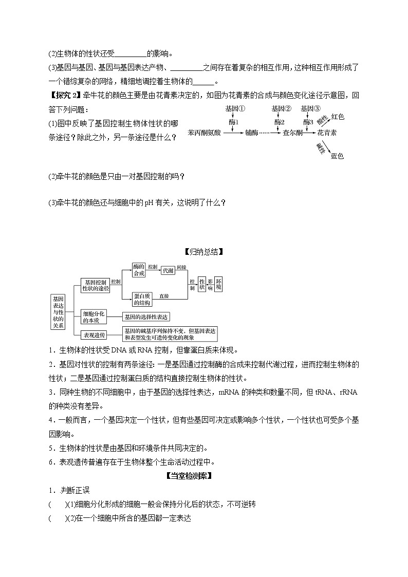 4.2 基因表达与性状的关系02 导学案【新教材】2020-2021学年高一生物人教版（2019）必修二02