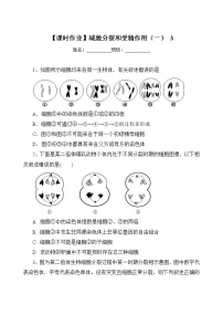 高中生物人教版 (2019)必修2《遗传与进化》一 减数分裂第3课时当堂检测题
