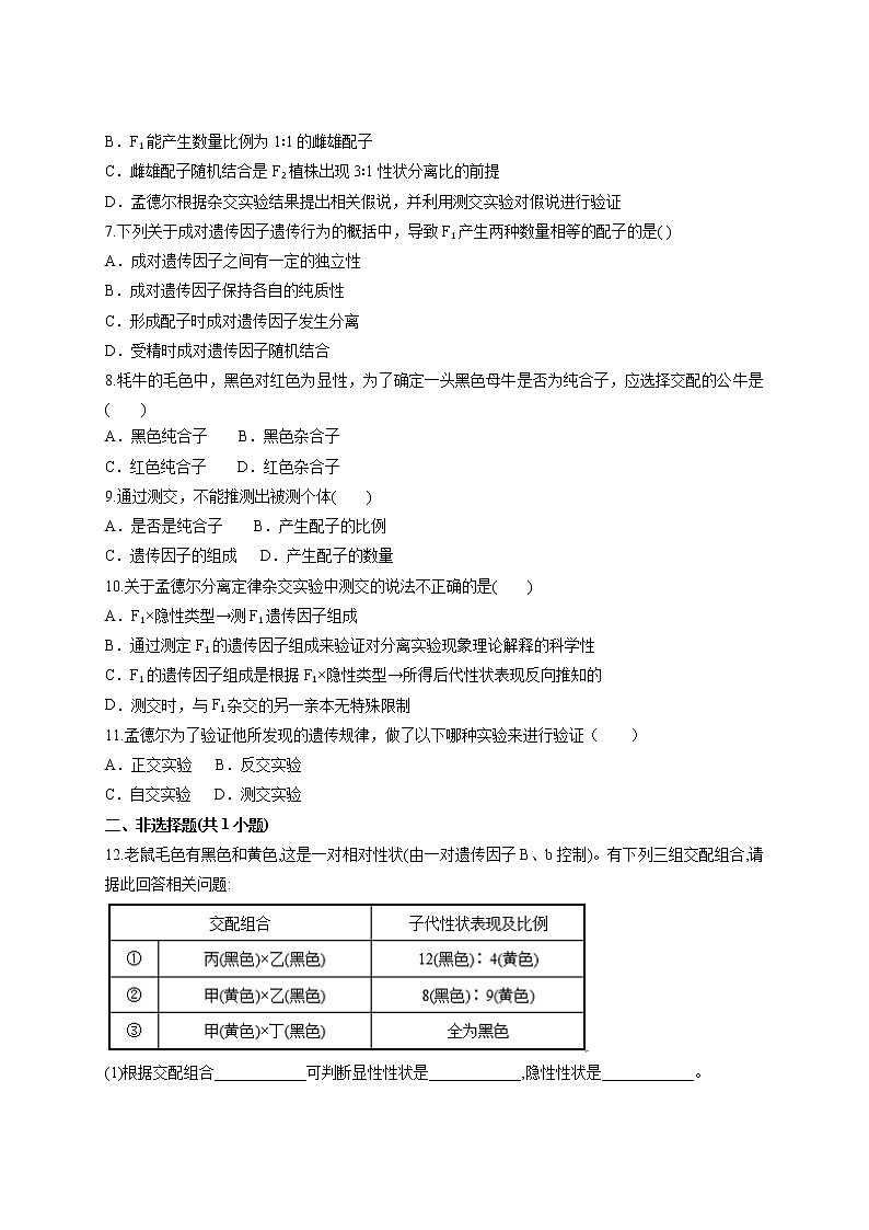 1.1 孟德尔豌豆杂交实验（一）2课时 课时作业-人教版（2019）高中生物必修2遗传与进化第2页