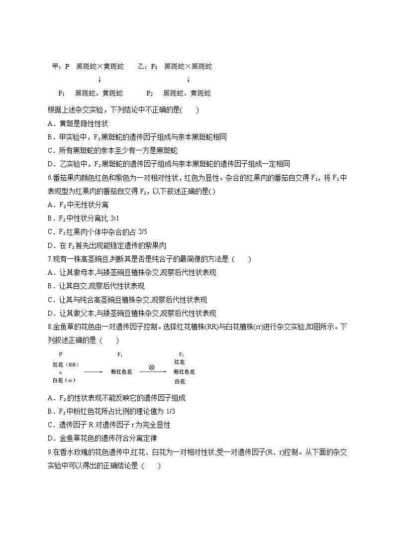 1.1 孟德尔豌豆杂交实验（一）3课时 课时作业-人教版（2019）高中生物必修2遗传与进化 练习02