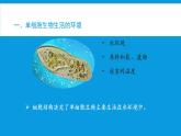 细胞生活的环境PPT课件免费下载