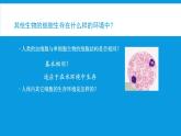 细胞生活的环境PPT课件免费下载
