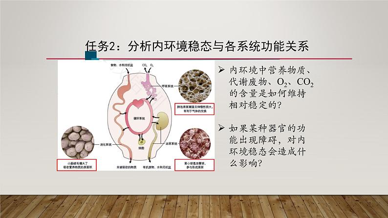 1.2 内环境的稳态 第2课时 课件【新教材】人教版（2019）高中生物选择性必修一第7页