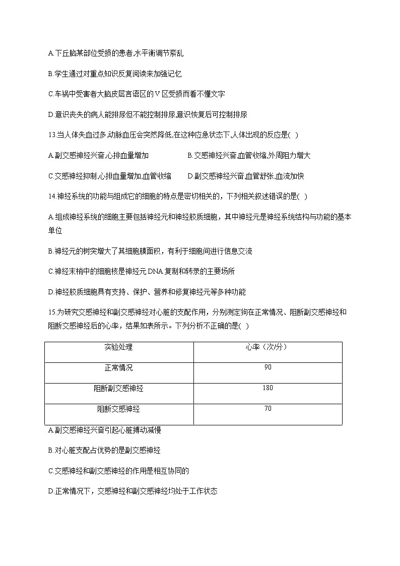2.1  神经调节的结构基础（能力提升） 同步练习【新教材】人教版（2019）高中生物选择性必修一03