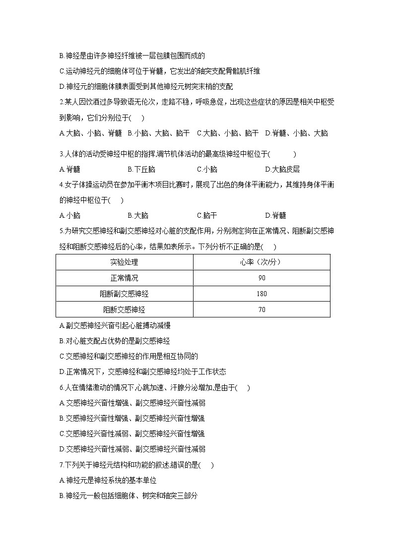 2.1神经调节的结构基础 学案【新教材】人教版（2019）高中生物选择性必修一第3页