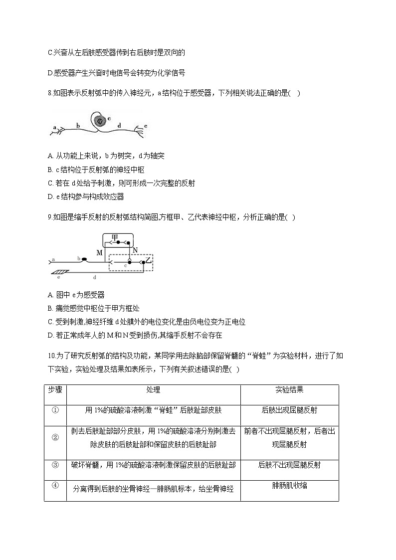 2.2 神经调节的基本方式（能力提升） 同步练习【新教材】人教版（2019）高中生物选择性必修一03