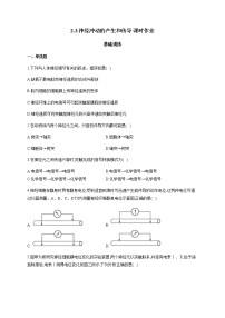 人教版 (2019)选择性必修1第2章 神经调节第3节 神经冲动的产生和传导同步练习题