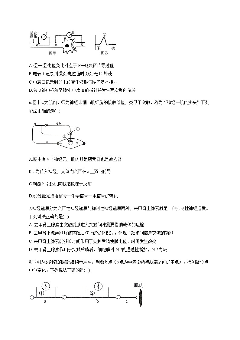 2.3 神经冲动的产生和传导（基础训练） 同步练习【新教材】人教版（2019）高中生物选择性必修一02