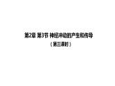 2.3神经冲动的产生和传导 第3课时 课件【新教材】人教版（2019）高中生物选择性必修一