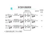 2.3神经冲动的产生和传导 第3课时 课件【新教材】人教版（2019）高中生物选择性必修一