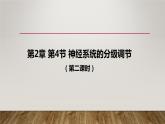 神经系统的分级调节PPT课件免费下载