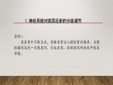 神经系统的分级调节PPT课件免费下载