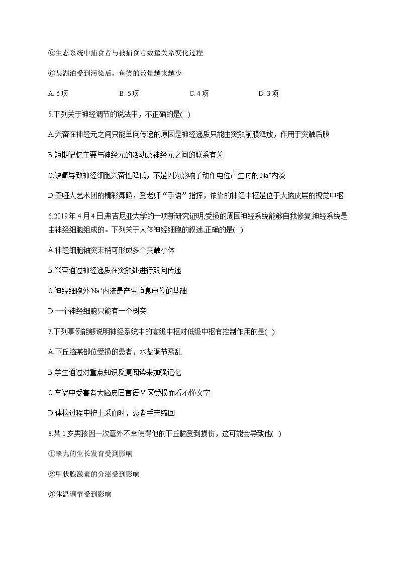 2.4 神经系统的分级调节（能力提升） 同步练习【新教材】人教版（2019）高中生物选择性必修一02