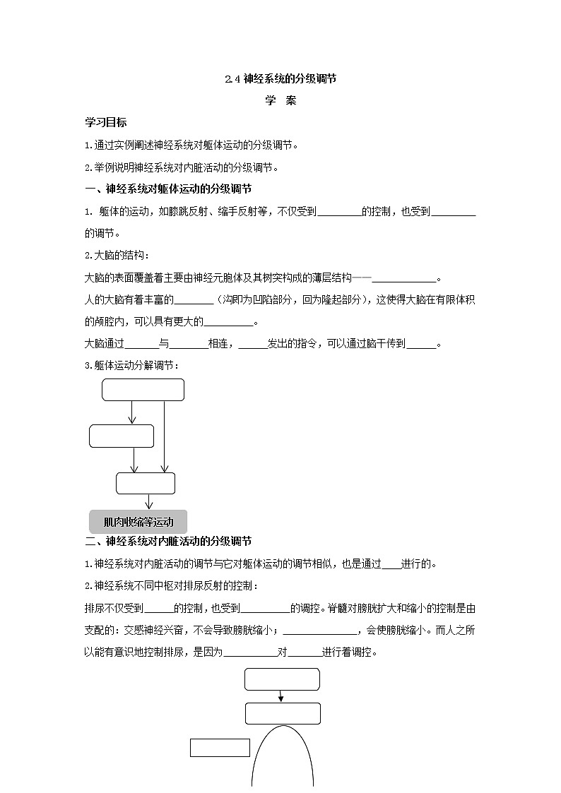 2.4神经系统的分级调节 学案【新教材】人教版（2019）高中生物选择性必修一第1页