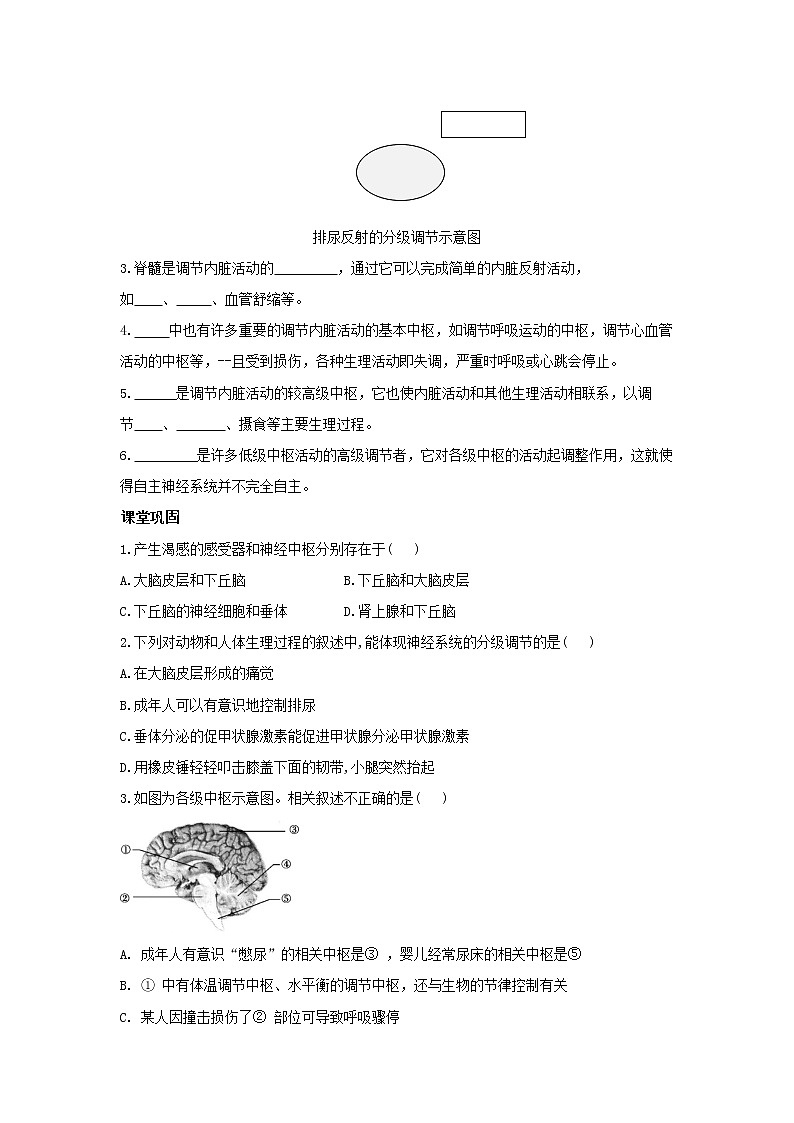 2.4神经系统的分级调节 学案【新教材】人教版（2019）高中生物选择性必修一第2页