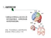 人脑的高级功能PPT课件免费下载