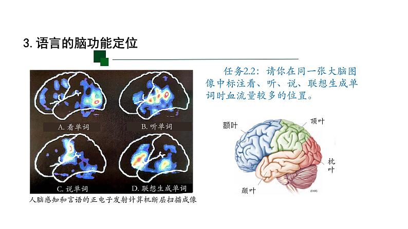 2.5人脑的高级功能 第1课时 课件【新教材】人教版（2019）高中生物选择性必修一第8页