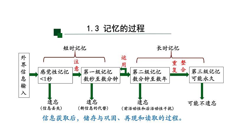 2.5人脑的高级功能 第2课时 课件【新教材】人教版（2019）高中生物选择性必修一08