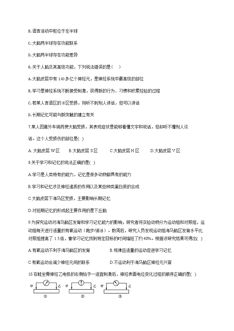 2.5人脑的高级功能（能力提升） 同步练习【新教材】人教版（2019）高中生物选择性必修一02